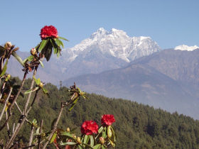 Everest Base Camp and Gokyo lakes trek in Nepal